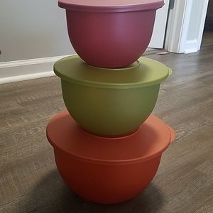 Tupperware Bowls with Lids